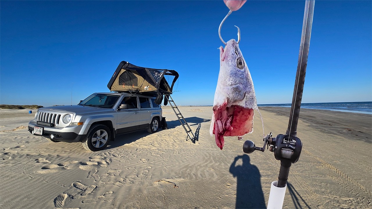 This Is Why You Surf Cast Big Baits! Surf Fishing