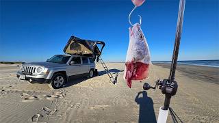 This Is Why You Surf Cast Big Baits! Surf Fishing
