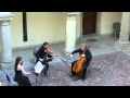Miniature de la vidéo de la chanson Quartetto Iii In Re Minore (G161): Menuetto - Trio