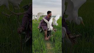 The Art of Bird Hunting – Masterclass