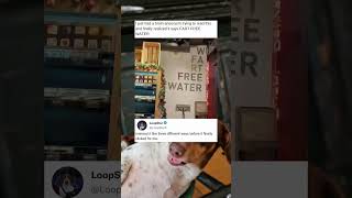 I Just Had A Brain Aneurysm Trying To Read This Confusing Fart Free Sign