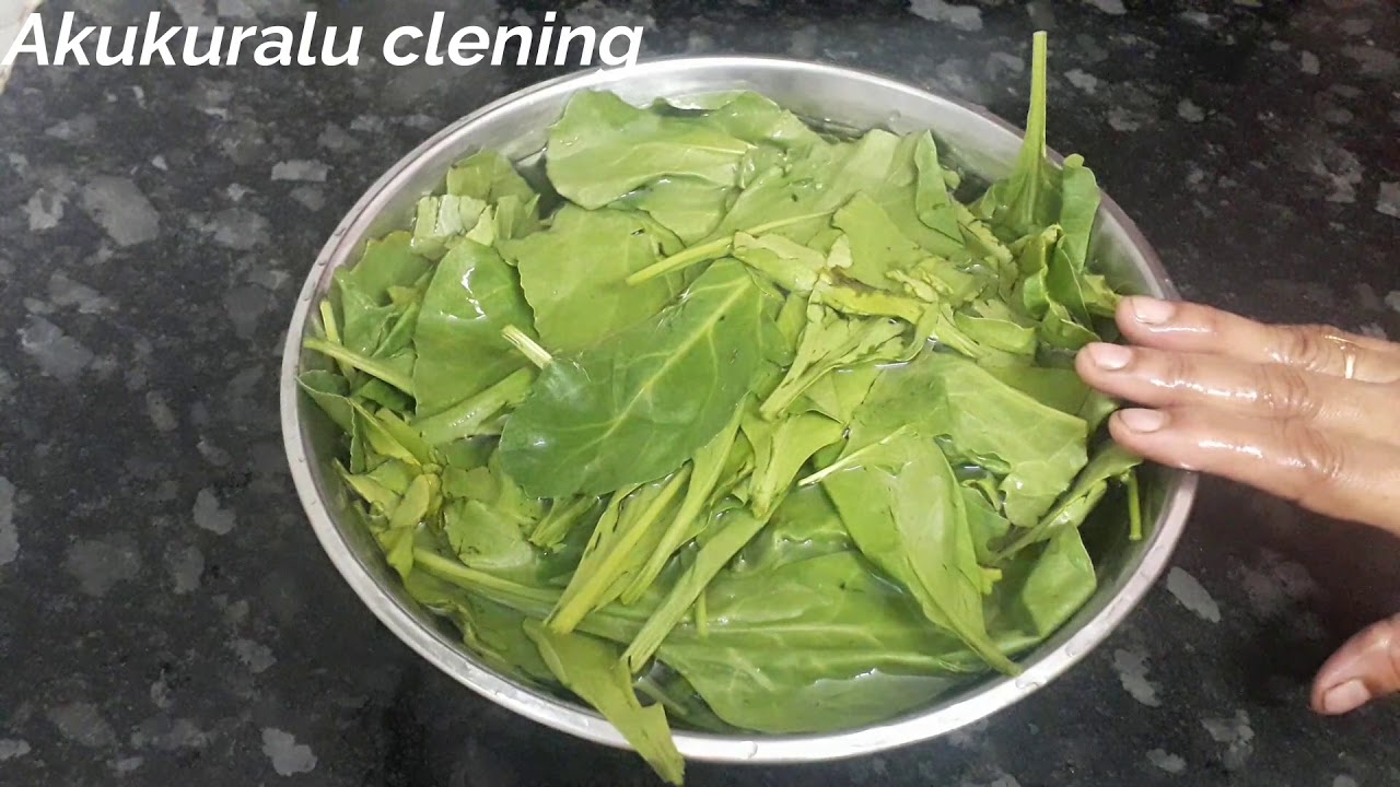 How to clean GREENS before cooking ఆకుకూరలు ఎలా శుభ్రపరచుకోవాలి YouTube