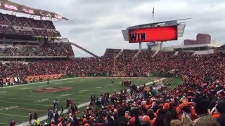 Who Dey Chant