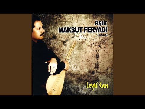 Leyli Can