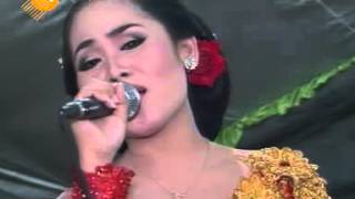 suket teki - cs. Supra nada -  live in  Asri Gondang Sragen