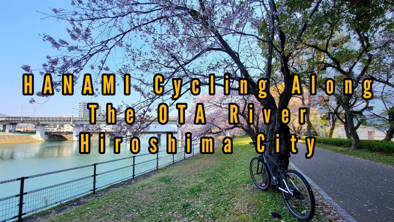 Hanami Cycling  in Japan : Spring Bike Ride Along The Ota River,Hiroshima City