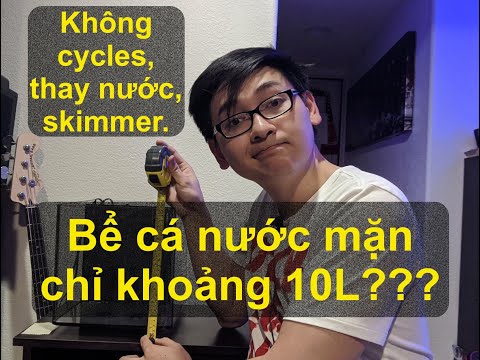 Video Tập 1: Setup 1 hồ cá nước mặn mini không skimmer, thay... - youtube