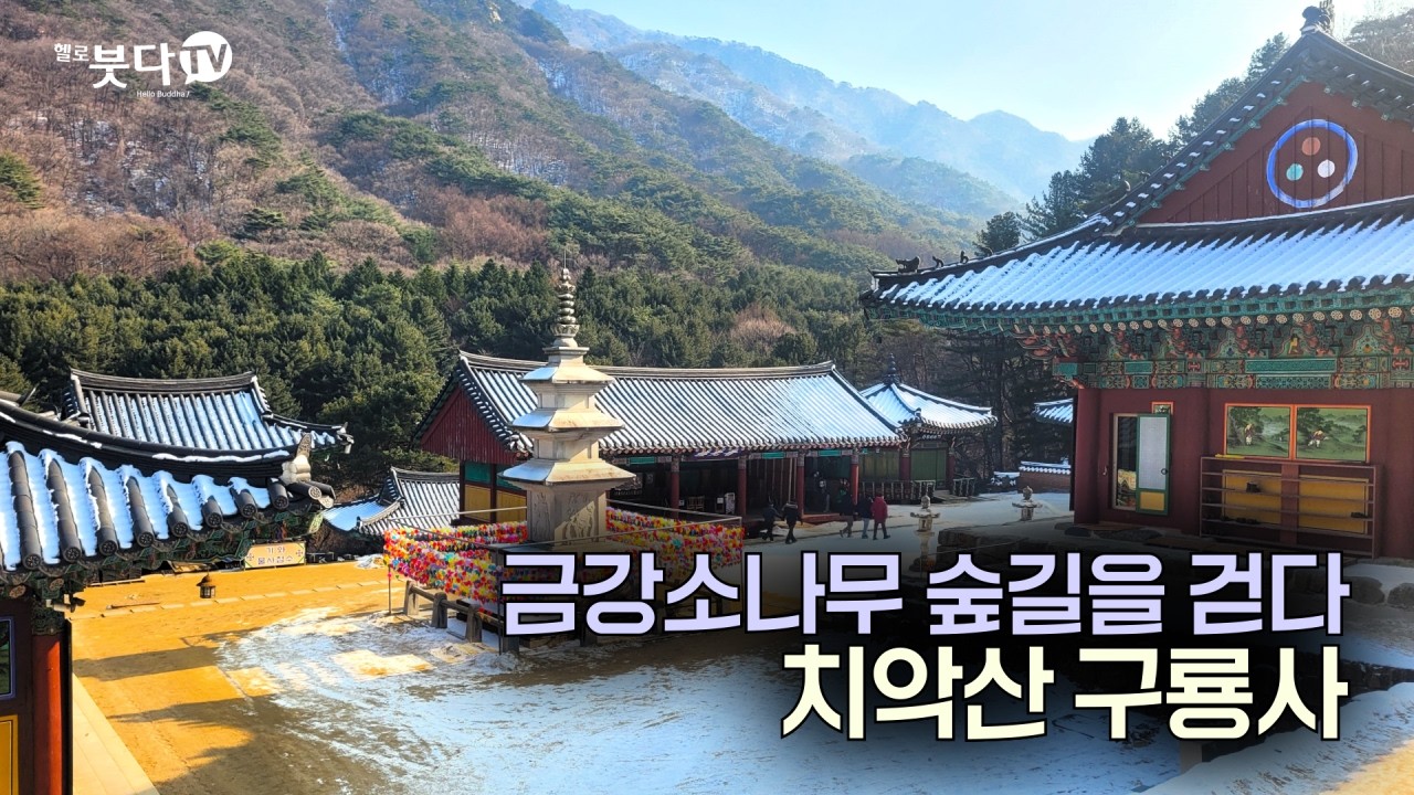 주말에 걷기 좋은 치악산 힐링 산책로 | 눈, 바람, 물, 새소리로 듣는 마음여행 | 이 계절에 꼭 가봐야 할 사찰 '원주 구룡사'