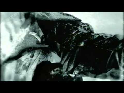 Mushroomhead - Sun Doesn't Rise 720p.
