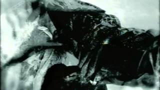 Mushroomhead - Sun Doesn't Rise 720p.