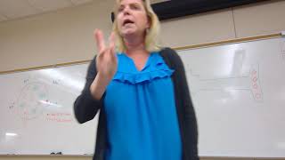 anatomy lecture on membrane potentials