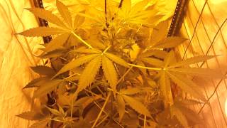 Update: week 6