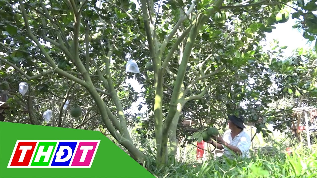 Đào tạo người nông dân thông minh | THDT - youtube