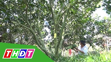 Đào tạo người nông dân thông minh | THDT