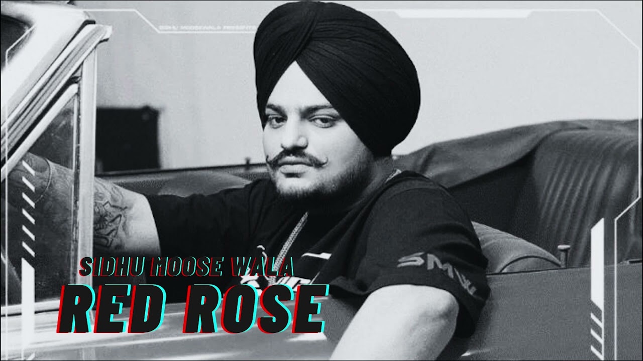RED ROSE – Sidhu Moose Wala (Full Audio) | Latest Punjabi Songs 2023