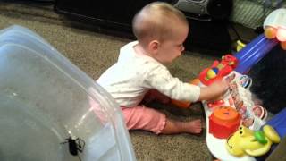 My Baby Ate A Stink Bug