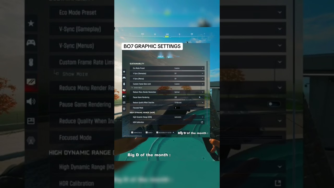 Bo7 Graphic Settings 