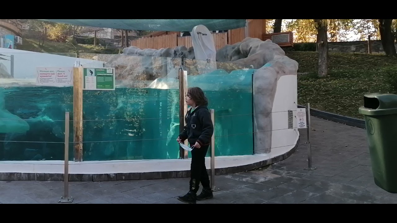 Beo Zoo vrt 26. oktobar 2021.