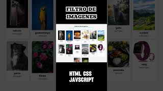 Crea un Filtro de Galería de Imágenes con HTML, CSS y JavaScript | ¡Paso a Paso y Súper Visual!
