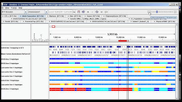 Tutorial Part 2   Haplotyping