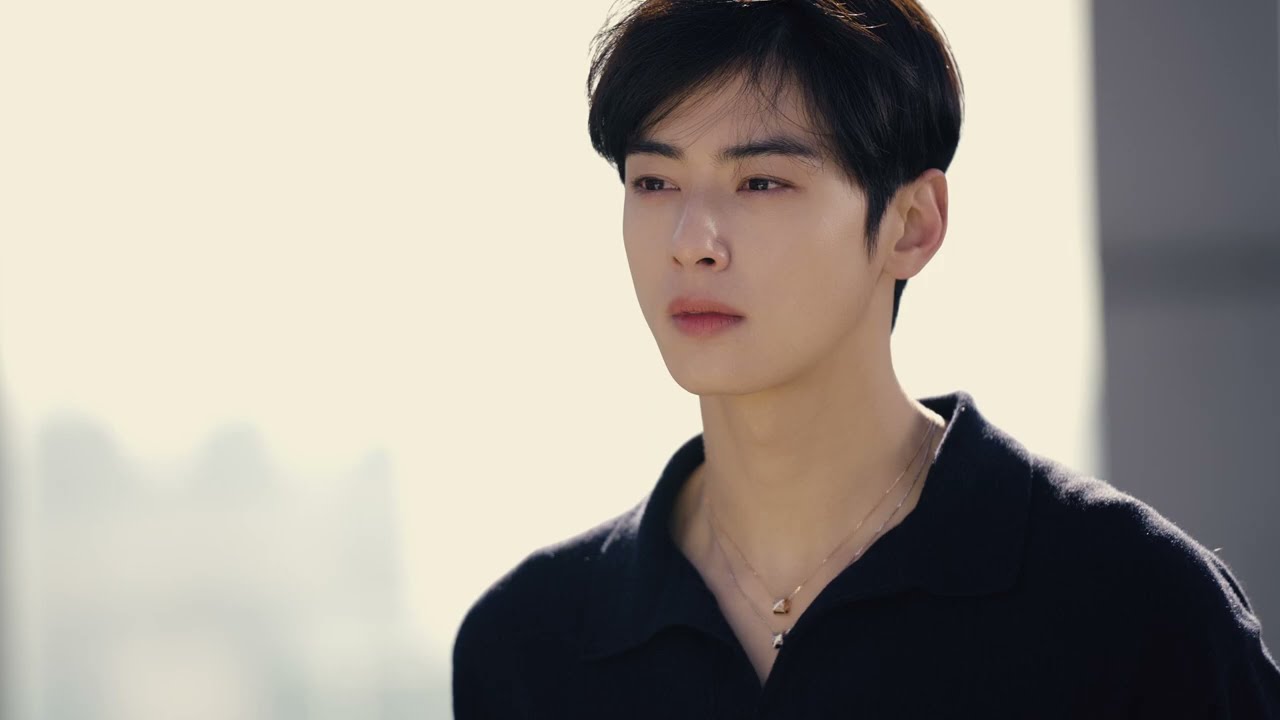 Cha Eun woo's best style moments