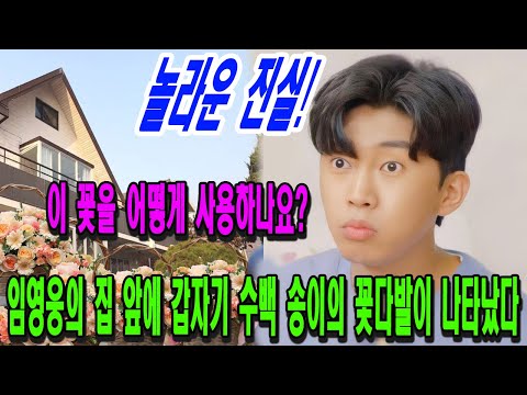 임영웅의 집 앞에 갑자기 수백 꽃다발이 나타났다. 놀라운 진실! 임영웅은 이 꽃을 어떻게 사용하나요?