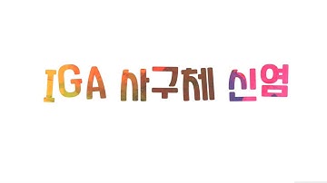 IgA 신증의 원인과 치료