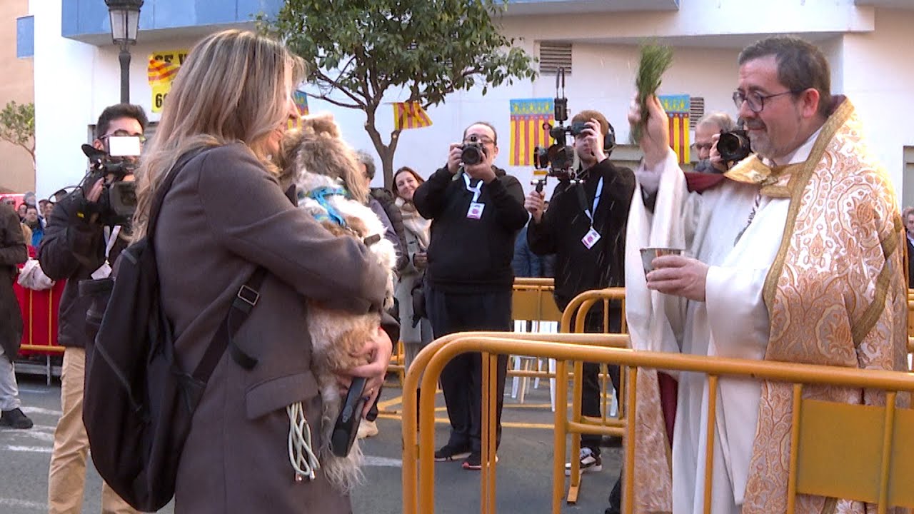 Mascotas reciben su bendición por San Antonio en Valencia: 