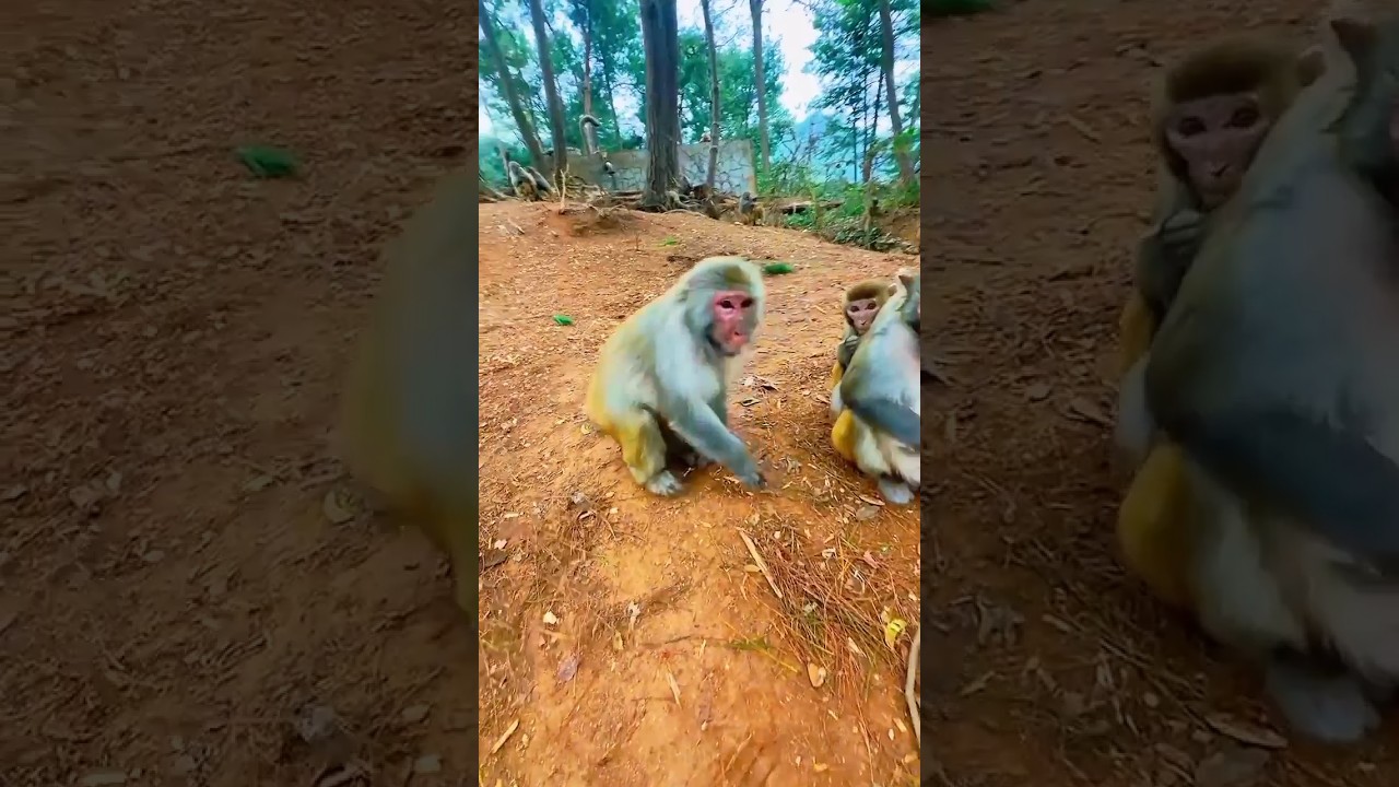 Mini Vlog 🤬😡#shortsfeed #shortsviral#minivlog#minivlogshorts