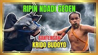 Ngamuk! Bantengan Krido Budoyo Audio Jernih di Jambewangi / Jaguar Audio 