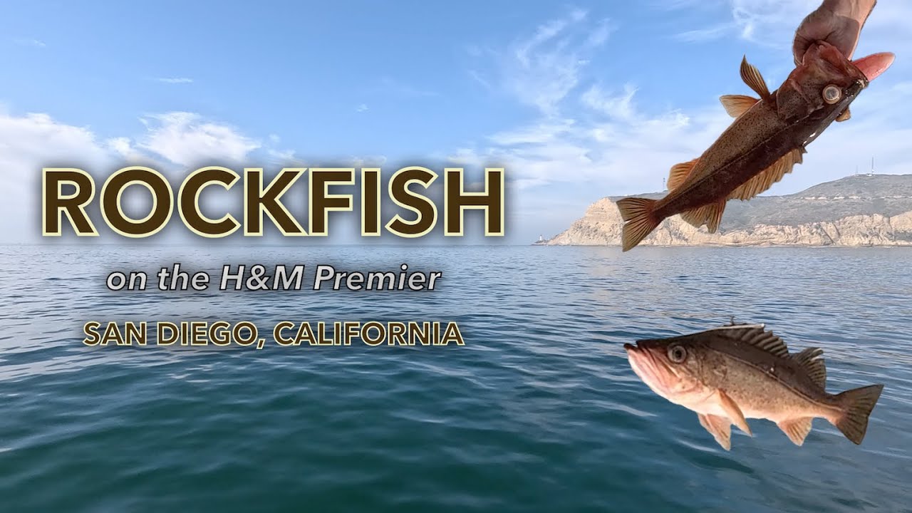Rockfishing Aboard the H&M Landing Premier Fishing Charter in Fall 2025 