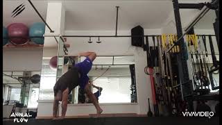 Animal Flow Short Flow Pt.980