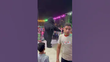 أيه الروقان بتاع الغوريلا دا Gorilla ارقص اكسبلور اكسبلورهاشتاقات حفلات Funny اكسبلور 