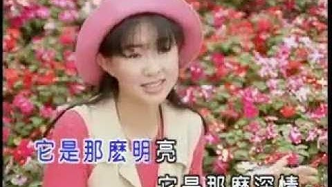 [卓依婷] 望星空 -- 蜕变 Vol. 2 (Official MV)