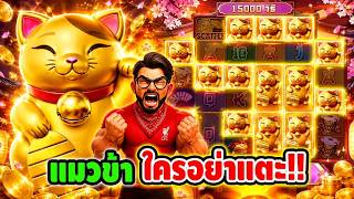 เฮียริช สวิตเซอร์แลนด์ ขอมาจ๊อช จัดให้ งานแมวมาาาาา !!! Lucky Neko - PG