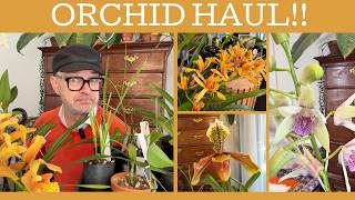 An accidental orchid haul...12 new plants!!