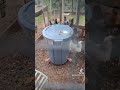 chicken water fixed. New Gravity feeder #chicken #crazychickenladies #backyardchickens #homestead