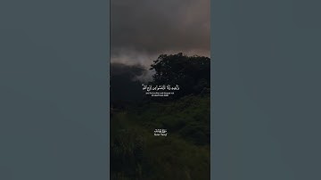 تلاوة خاشعة (يا بني اذهبوا فتحسسوا من يوسف وأخيه) [يوسف: ٨٧] القارئ #نعمة_الحسان