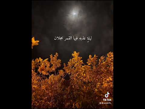 كلك نظر 