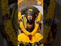 అమ్మవారి దర్శనం చేసుకోండి 🙏🪔🙏🪔