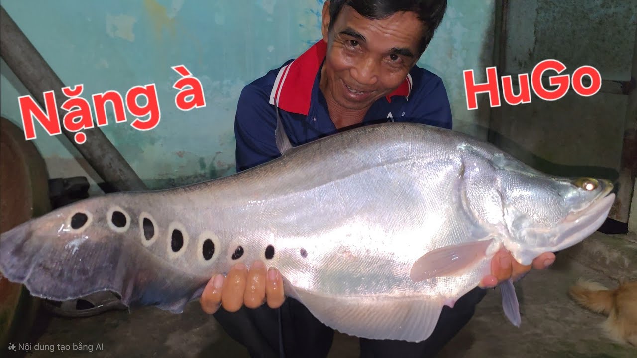 Quá khủng con HuGo. Trúng mánh Hàng Khủng GẦN 7kg | Săn bắt SÓC TRĂNG |