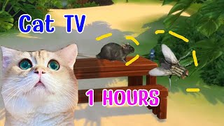 CAT GAMES l Game for cats Mix blowfly mouse | CAT TV | 1hours #cat #cats #catgames screenshot 1