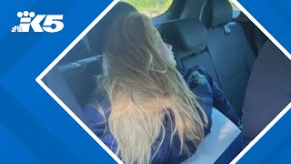 Speeder busted with fake passenger in HOV lane