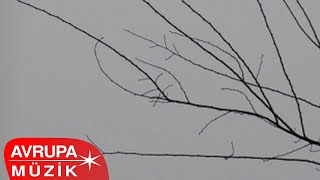 Dursun Uçar - Emmi Dayı Official Audio