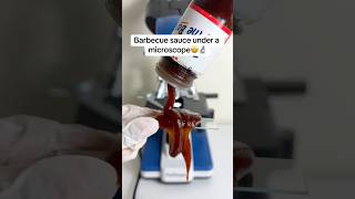 Ever seen BBQ sauce under a microscope? π€ (must-see π)