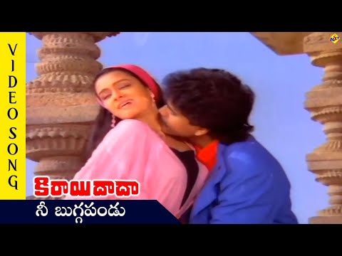 Nee Buggapandu Video Song | Kirayi Dada Movie Video Songs | Nagarjuna | Amala | TVNXT Telugu Music