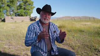 CCALT - Forever Colorado