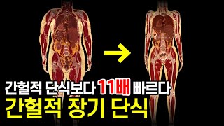간헐적 단식보다 11배 빠른 다이어트 방법