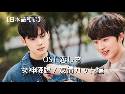 チャウヌ出演　私のIDはカンナム美人　女神降臨　OST 女神降臨OST /友情カット〉恋しさStarlight/チャニ(그리움/찬희SF9