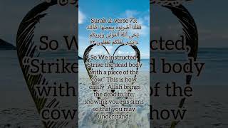 bail ka tukra ||surah 2 ||verse 73|| #quran #qurantranslation #surahalbaqarah #trjuma